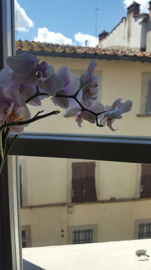Sweet Tuscany Arezzo Ngoại thất bức ảnh